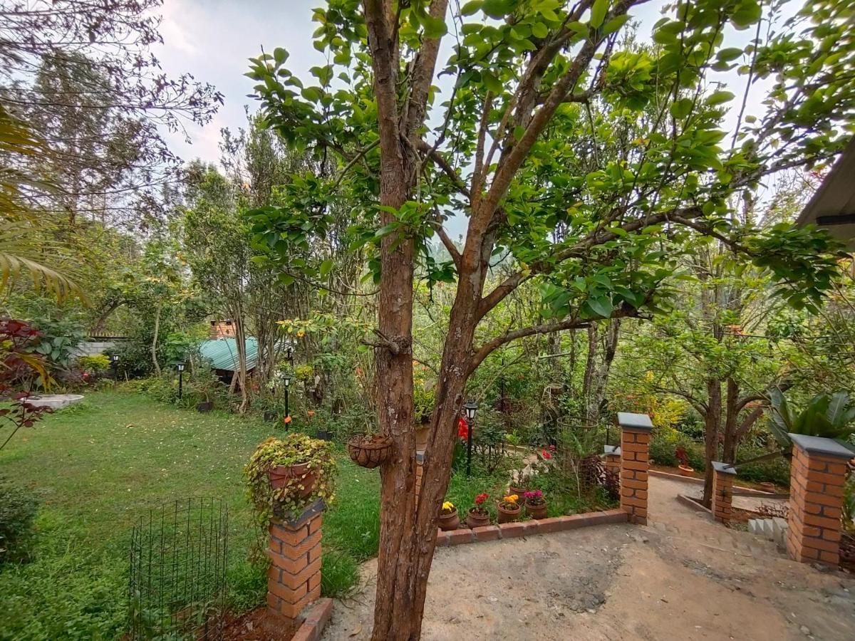 Silver Spruce Entire Nature Villa Kotagiri Esterno foto