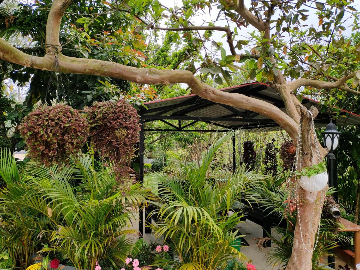 Silver Spruce Entire Nature Villa Kotagiri Esterno foto