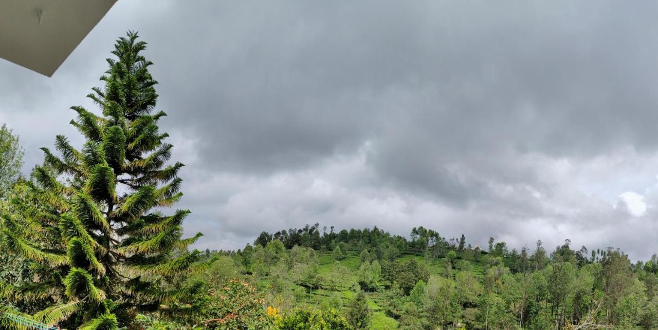 Silver Spruce Entire Nature Villa Kotagiri Esterno foto