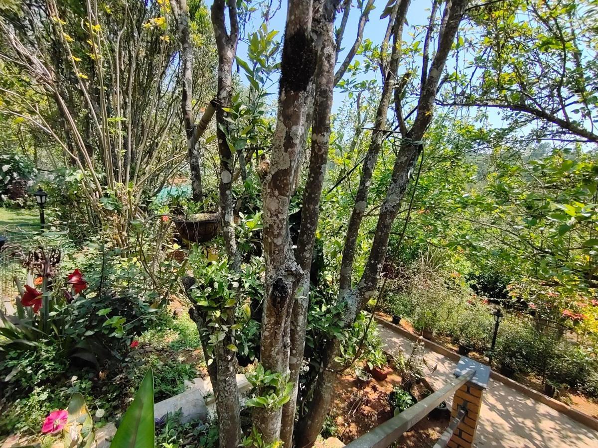 Silver Spruce Entire Nature Villa Kotagiri Esterno foto